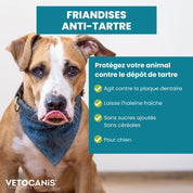 friandises anti tartre chien agit contre le tartre