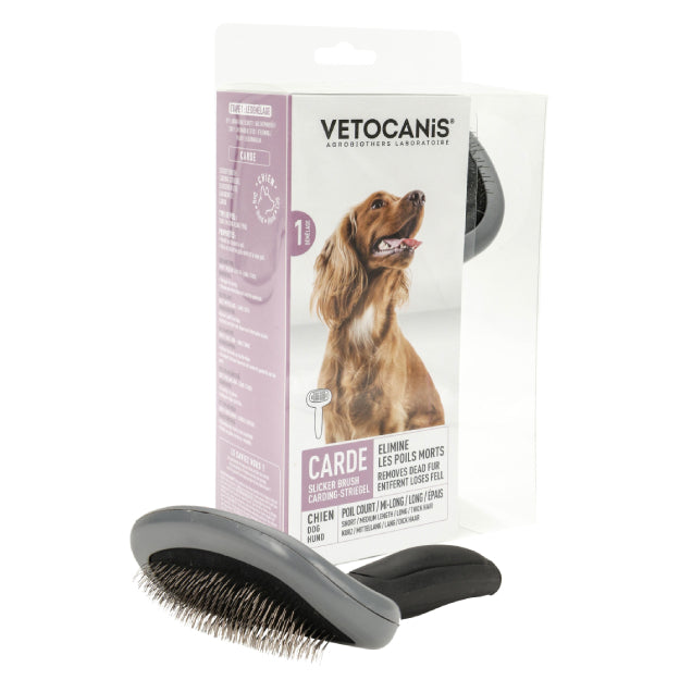 Brosse Carde Taille L pour Grand Chien