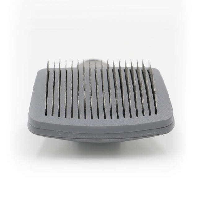 Brosse Carde Rétractable