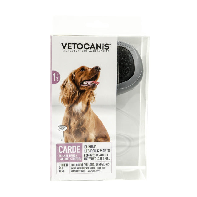 Brosse Carde  pour Grand Chien