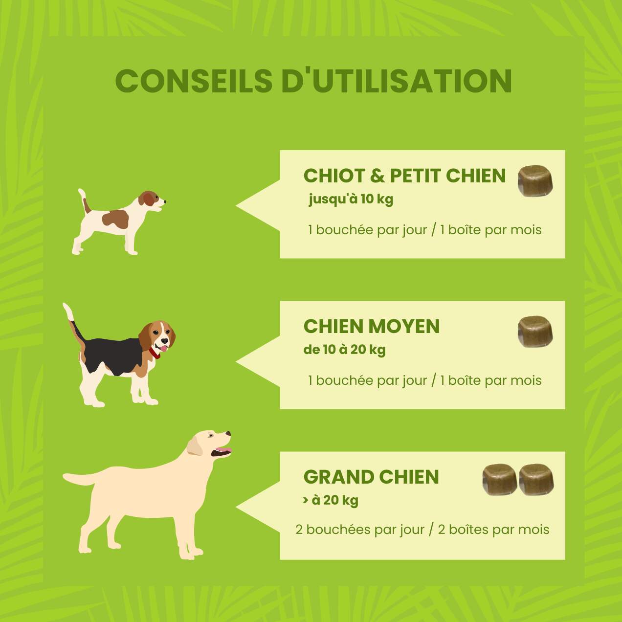Conseil d'utilisation