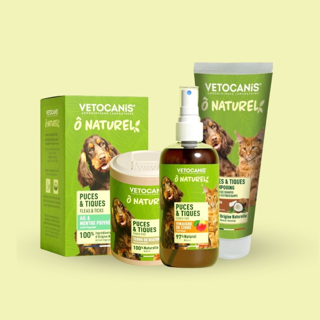 kit produits antiparasitaires naturels pour chien