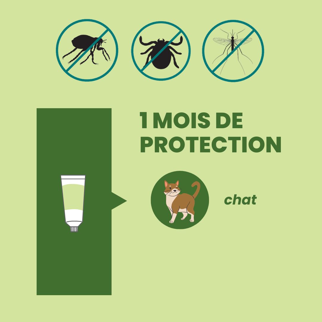 Pipettes Répulsives Anti-Puces et Anti-Tiques  BIO pour chat = 1 mois de protection continue