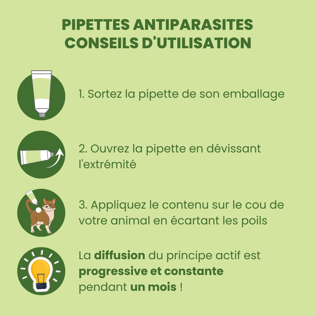 Pipettes Répulsives Anti-Puces et Anti-Tiques BIO pour chat conseils utilisation
