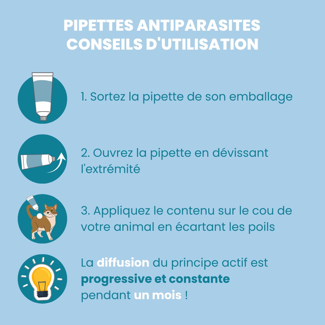 pipette antiparasitaires Vetocanis chat - conseils utilisation