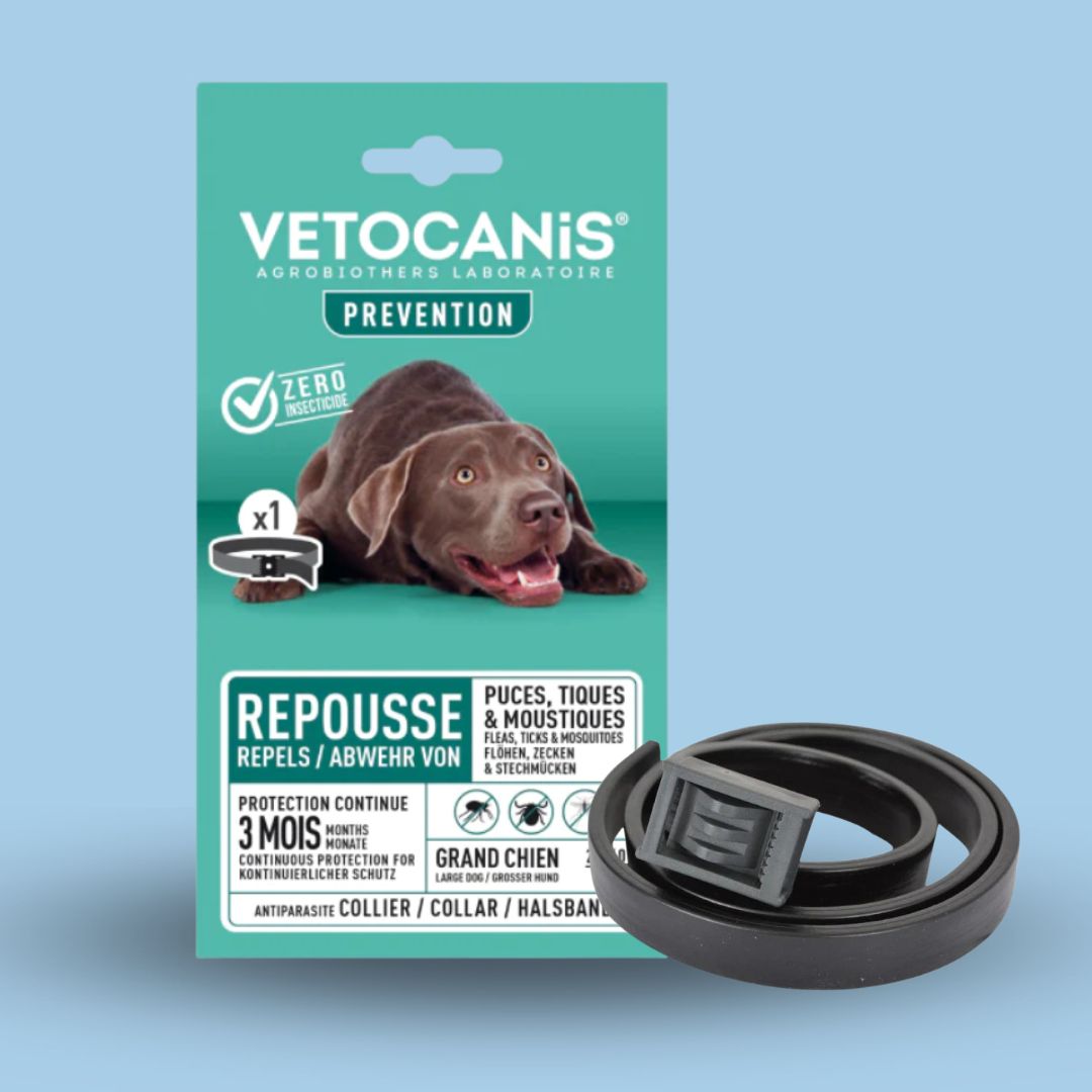 Meilleur Collier Anti Puce Chien