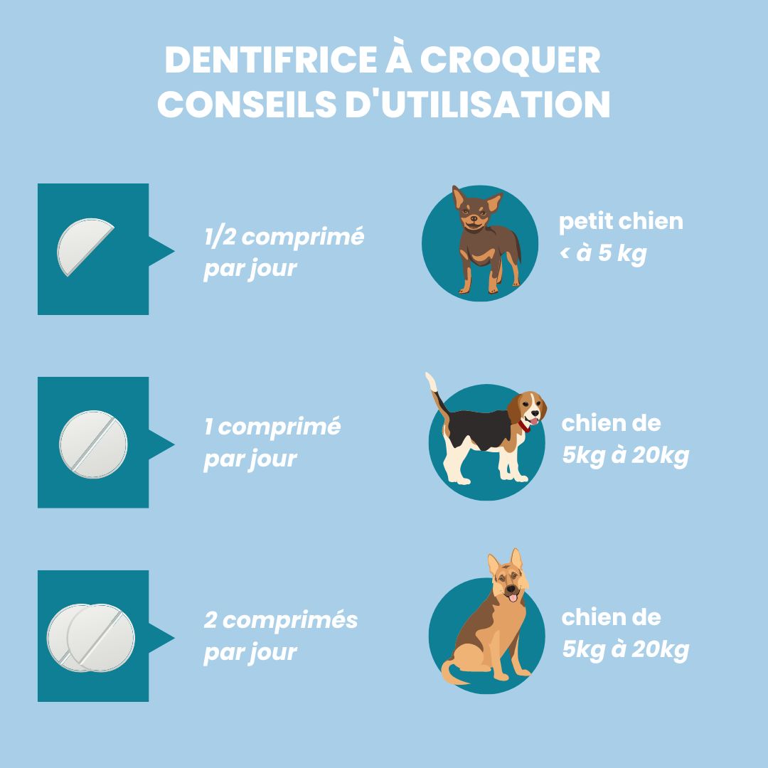 dentifrice à croquer pour chien - conseils d'utilisation - vetocanis