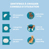 dentifrice à croquer pour chien - conseils d'utilisation - vetocanis
