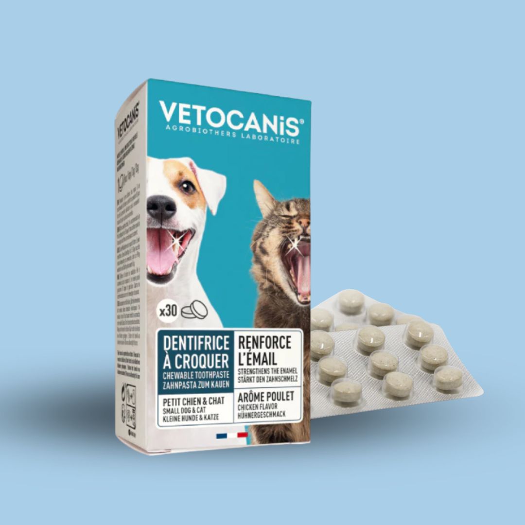 dentifrice à croquer pour petit chien et chat