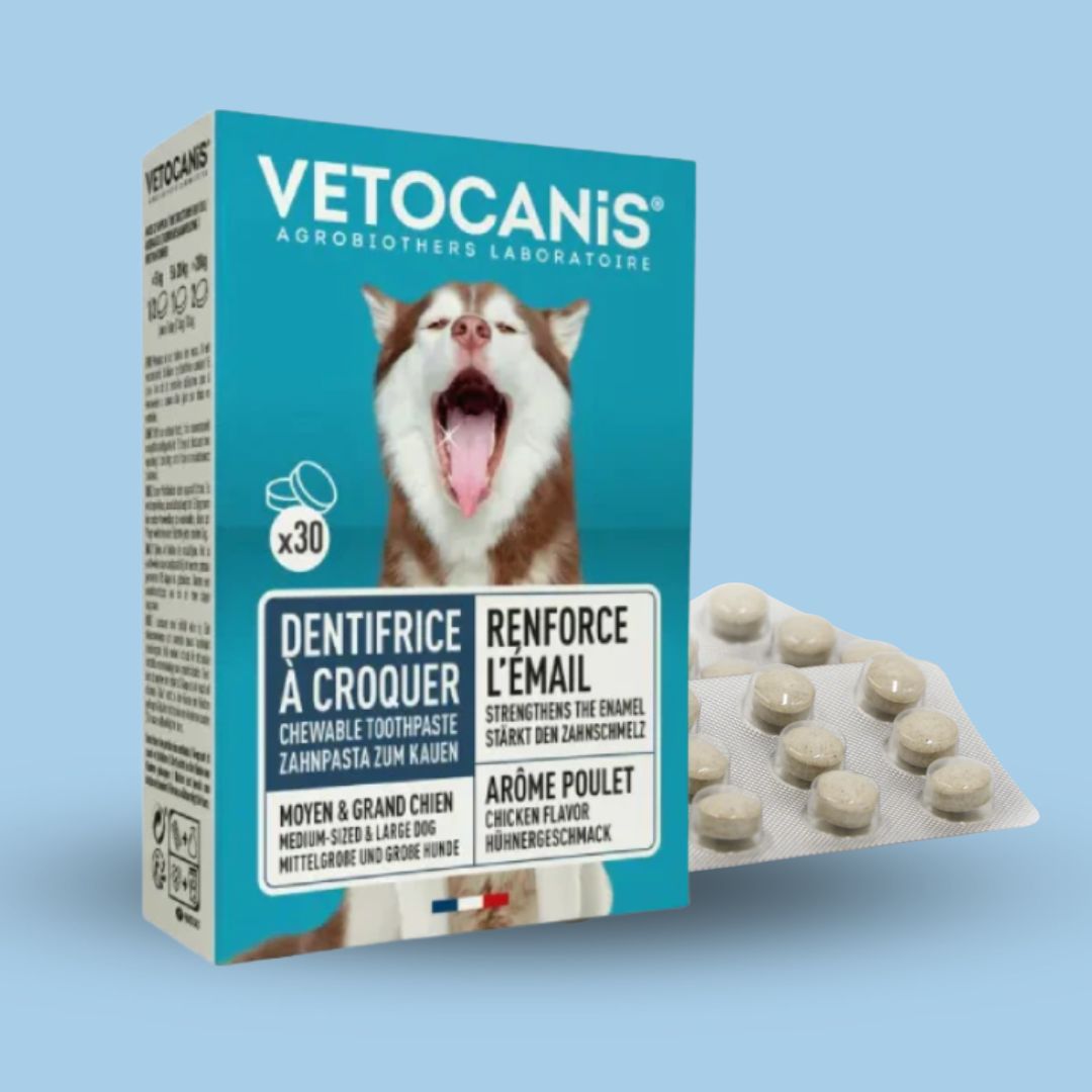dentifrice à croquer pour chien Vetocanis
