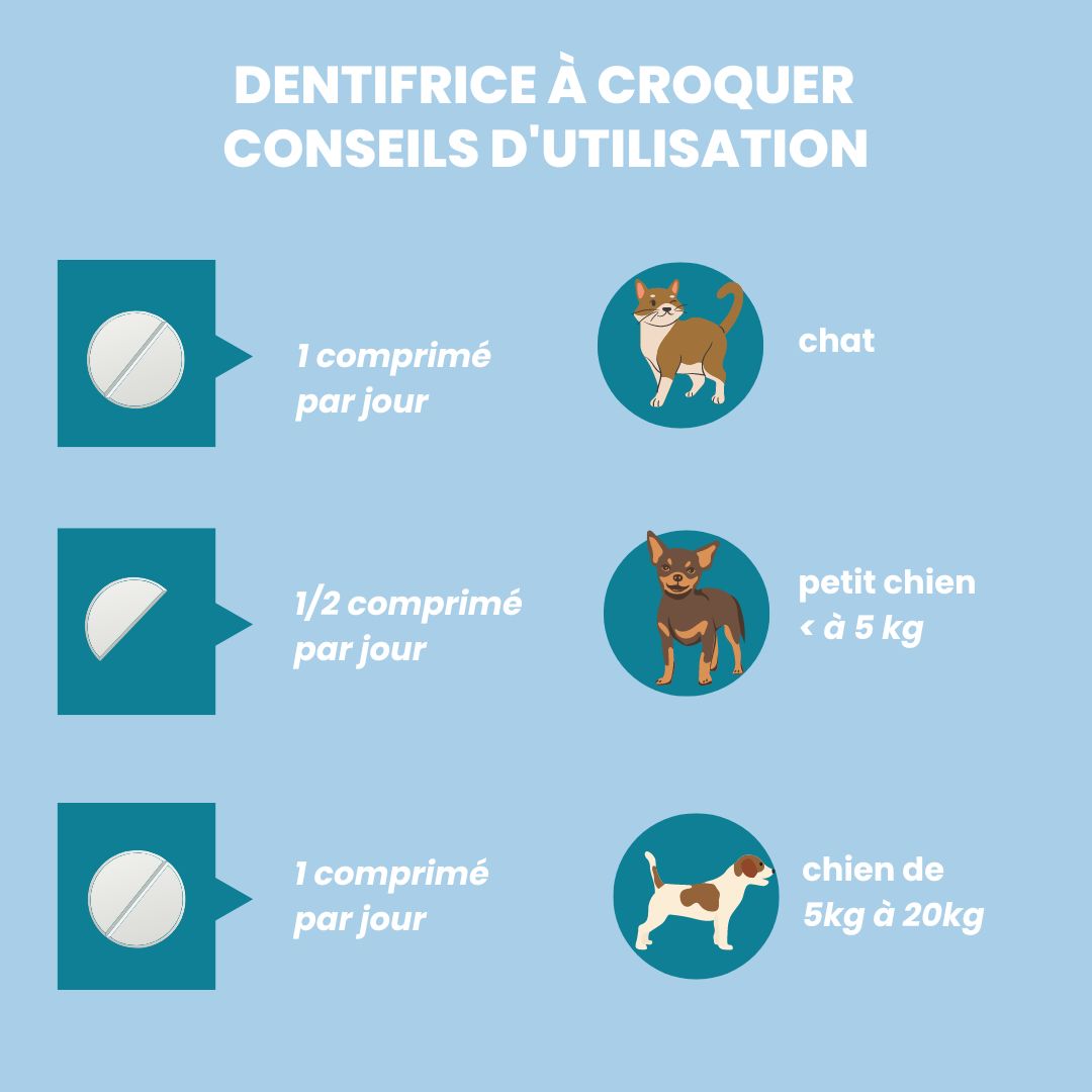 dentifrice à croquer pour chien et chat - conseils d'utilisation