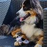 jouet peluche pour chien forme cheval