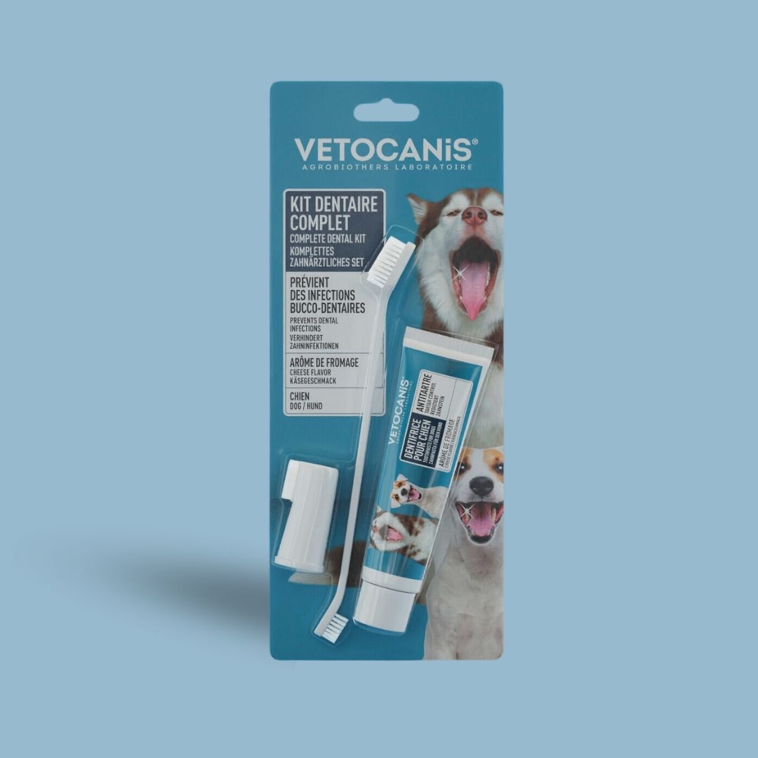 dentifrice et brosse à dent pour chien