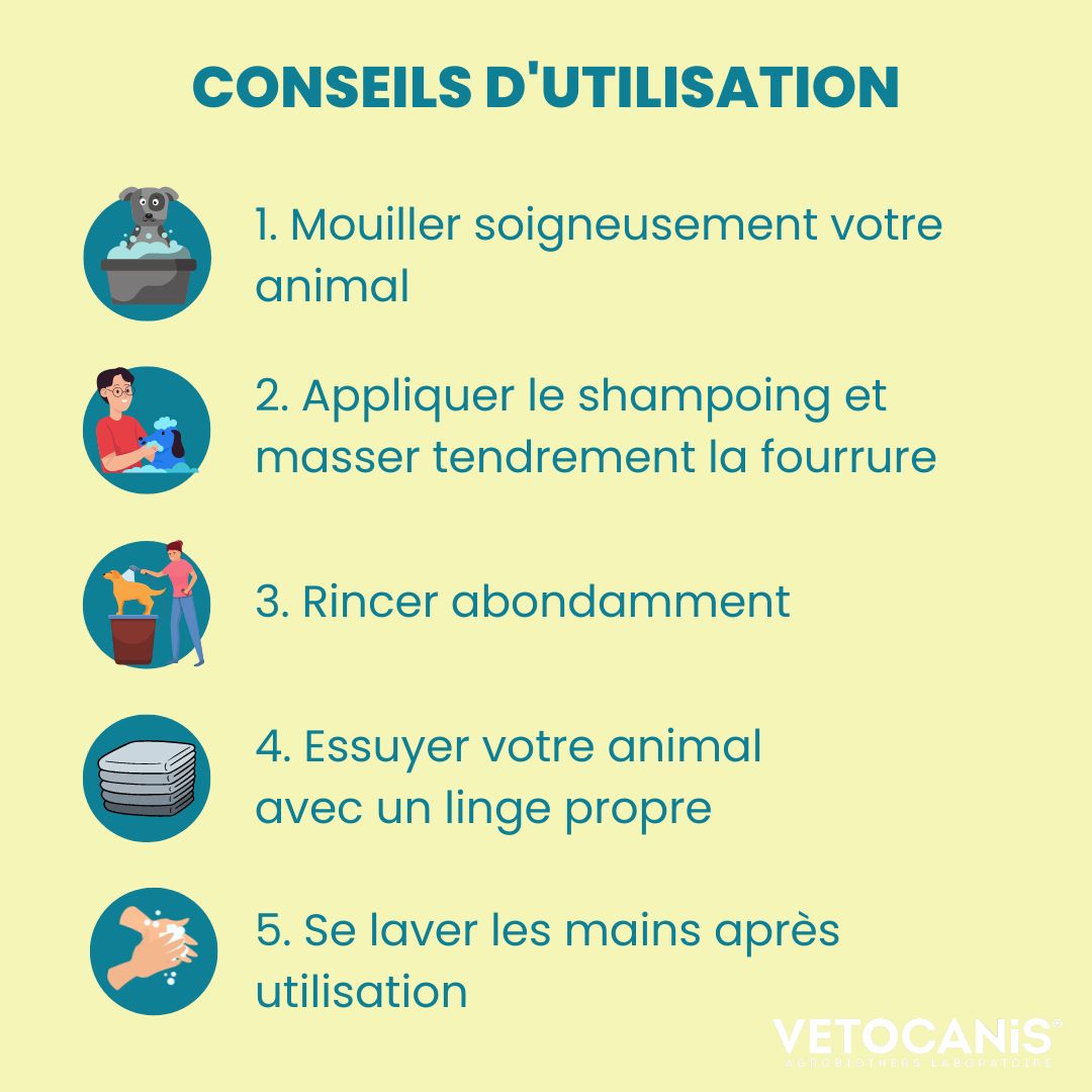Shampoing Puces & Tiques pour Chiens et Chats conseils utilisation