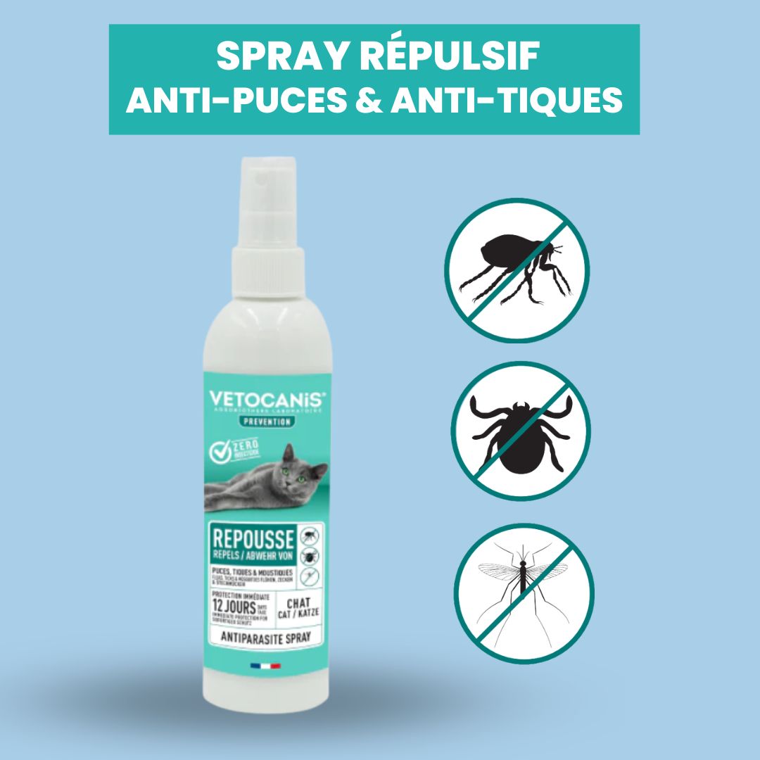 spray répulsif anti-puces et anti-tiques chat