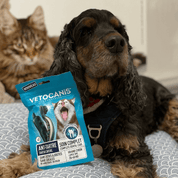 Friandises anti tartre avec chien