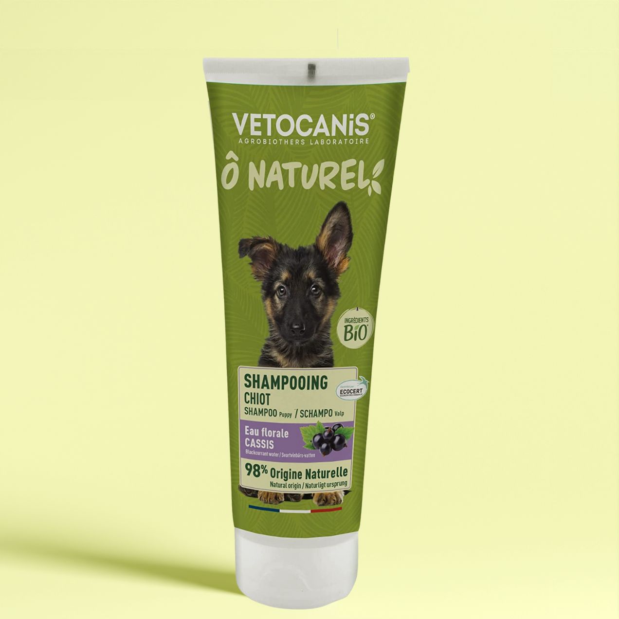 Shampoing-Chiot-eau-florale-Cassis-bio