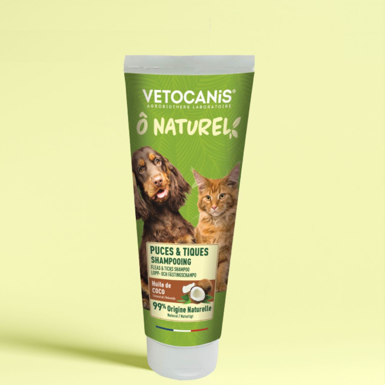 L'Huile De Coco Est-elle Bonne Pour Les Chiens?