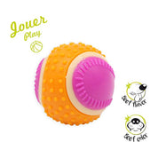 Balle pour Chien 5 en 1 aimé