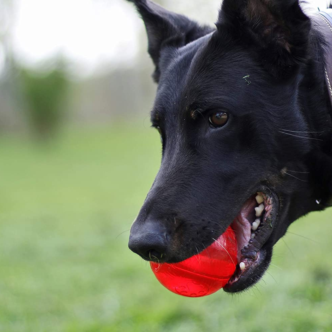 Aime Jouet Play Strong balle 8cm - pour chien