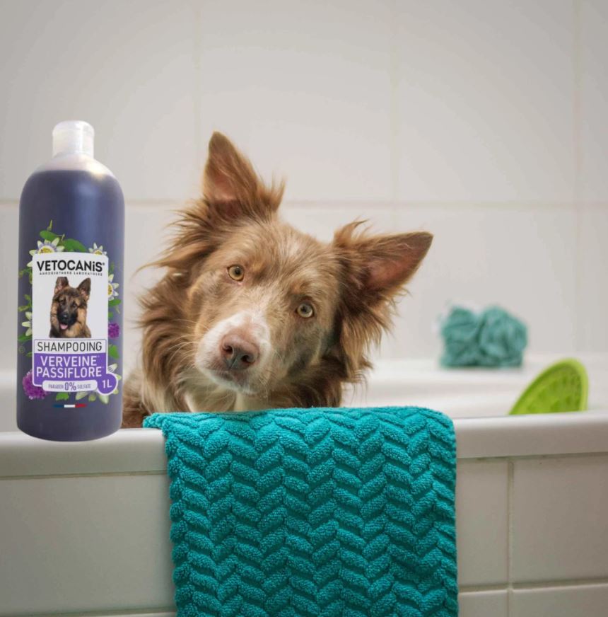 shampoing chien verveine passiflore VETOCANIS