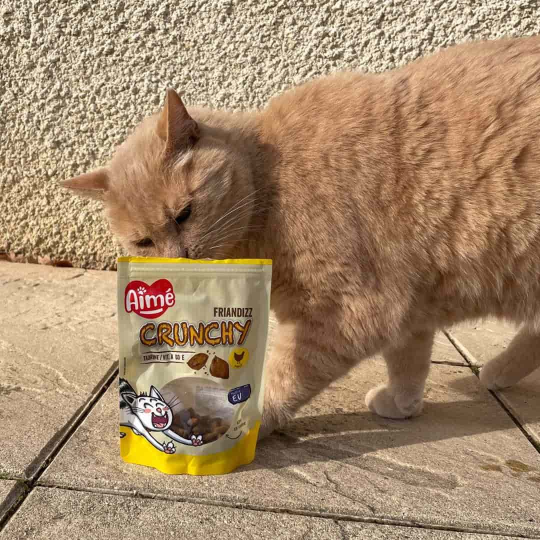 friandizz Crunchy Aimé les chats aiment