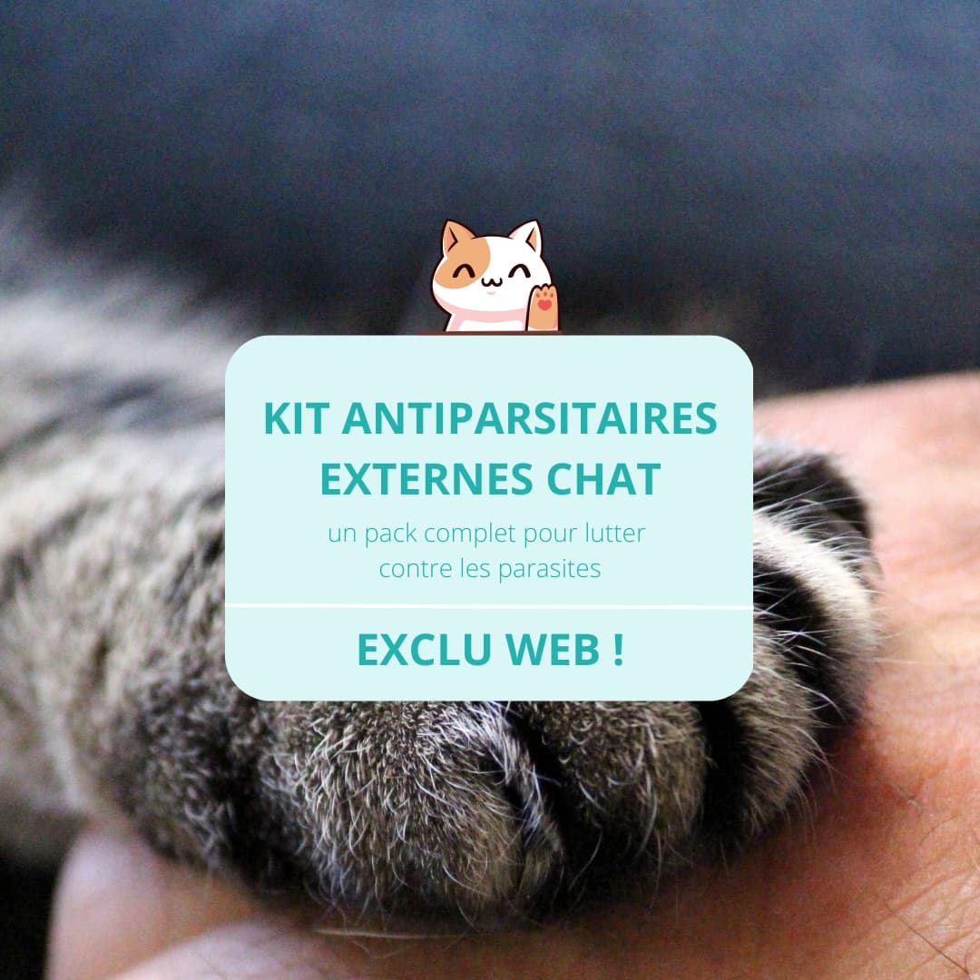 pack antiparasitaires externes chat Vetocanis