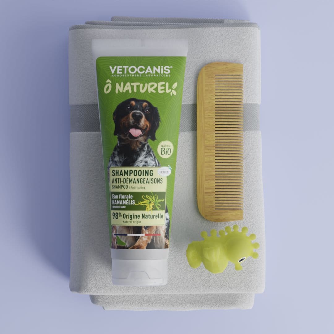 shampoing chien anti démangeaisons Vetocanis
