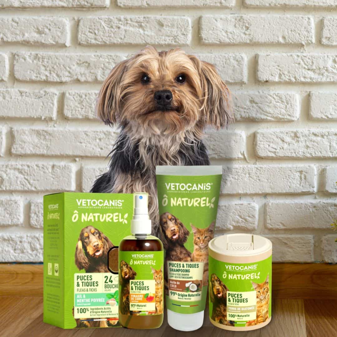 kit pack ô naturel chien Vetocanis
