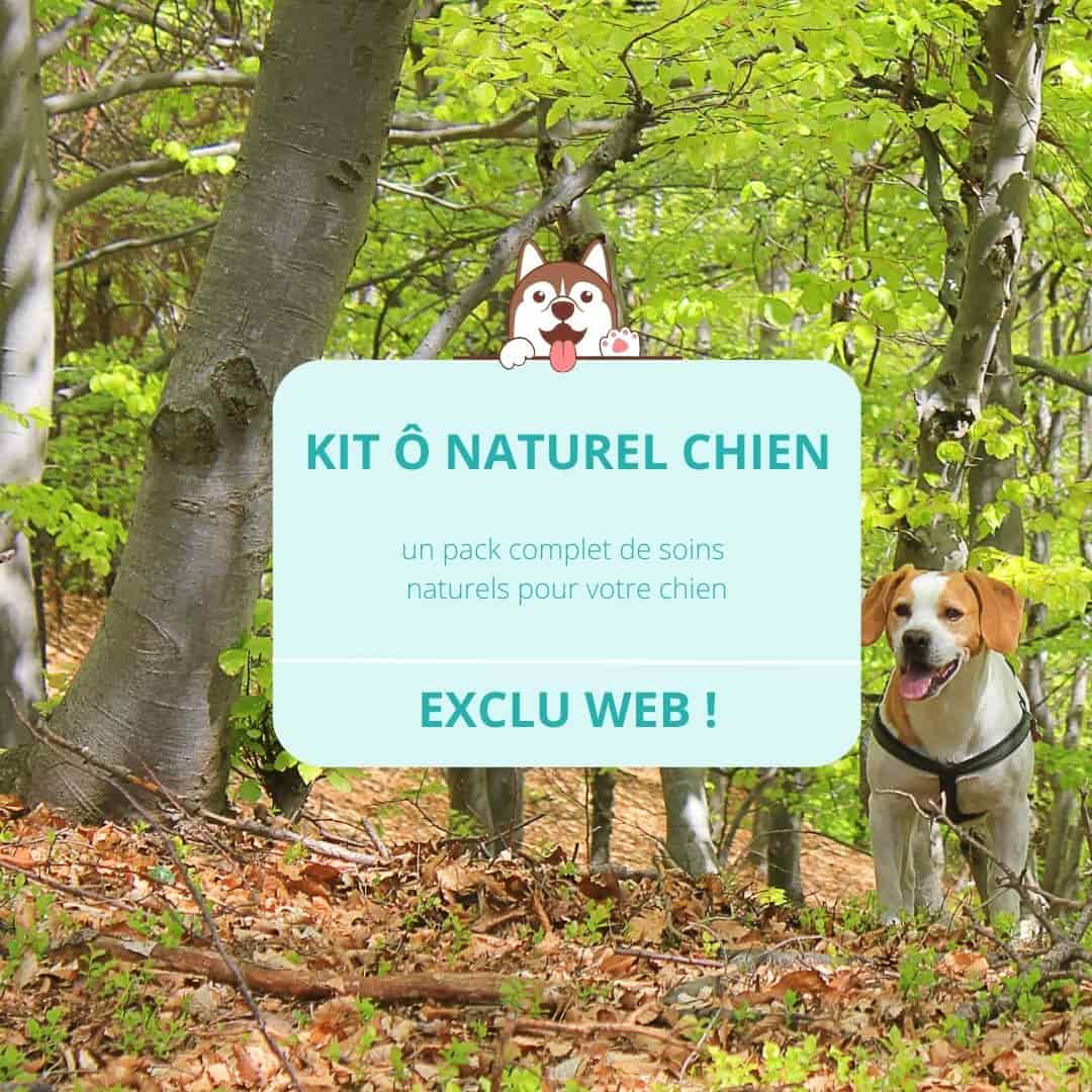 prendre soin de son chien avec des produits naturels Vetocanis