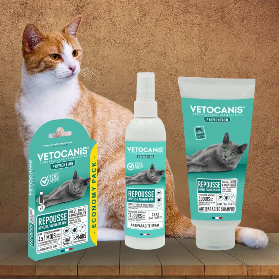 kit antiparasitaires externes spécial chat Vetocanis