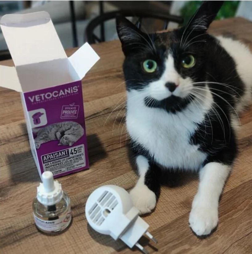 Diffuseur Apaisant pour Chat avec recharge 45 jours - Vétocanis – Vetocanis