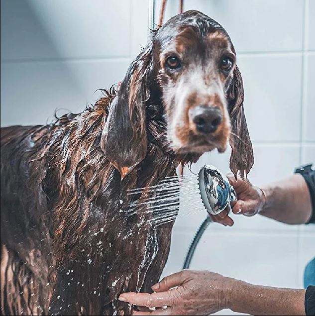 Shampoing pour Chien Vetocanis Abricot & Miel 1L