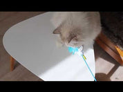 jouet canne à pèche chat