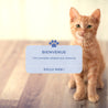 kit de bienvenue pour chaton Vetocanis