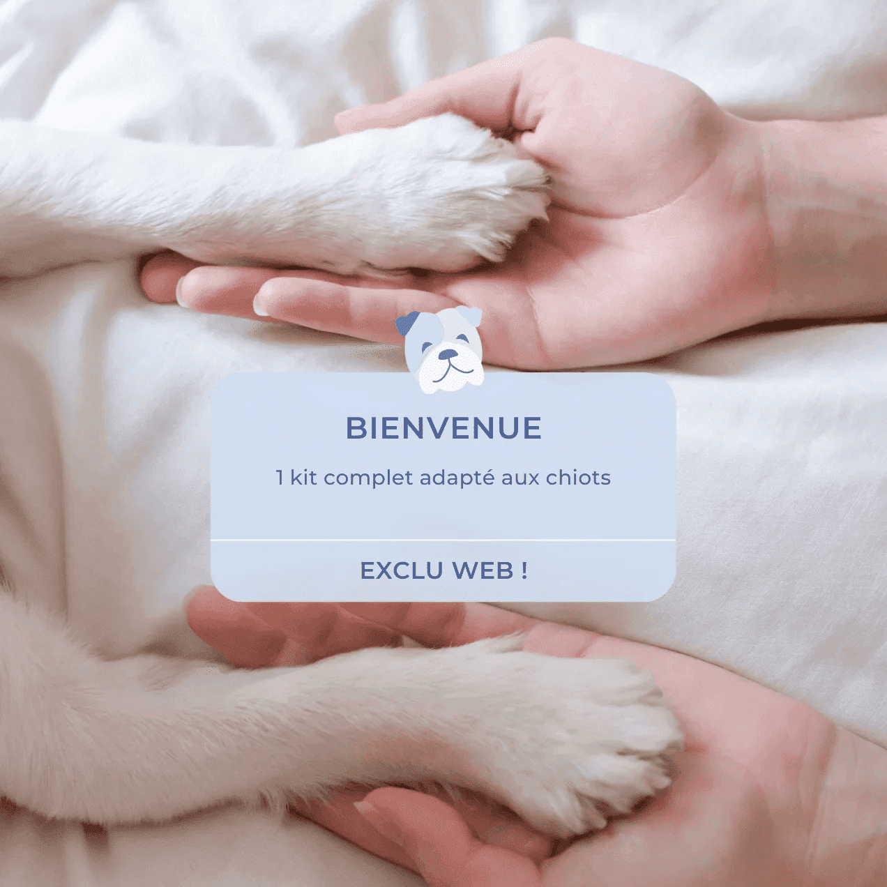 Kit de bienvenue chiot exclu web
