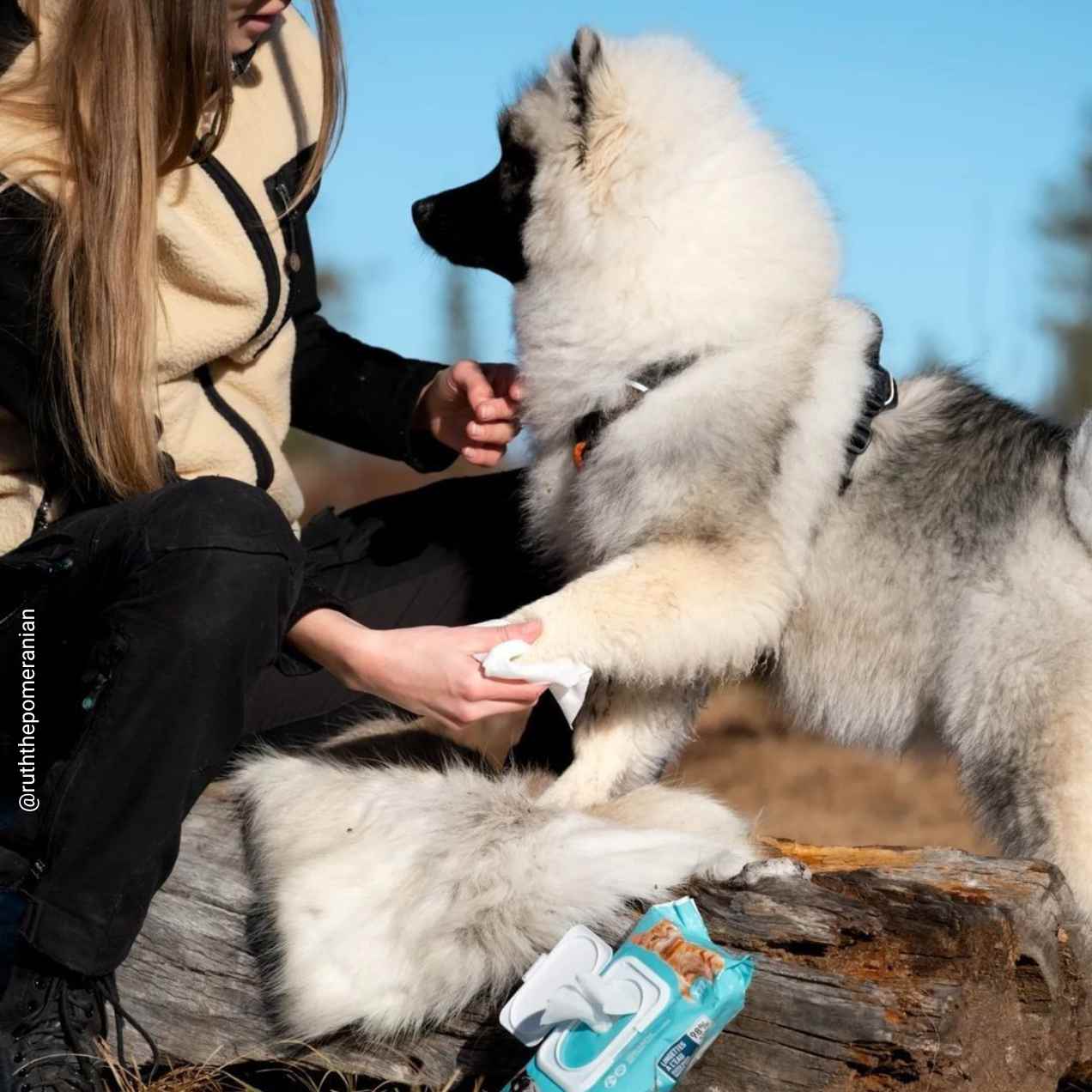 Lingettes nettoyantes pour Chien & chat