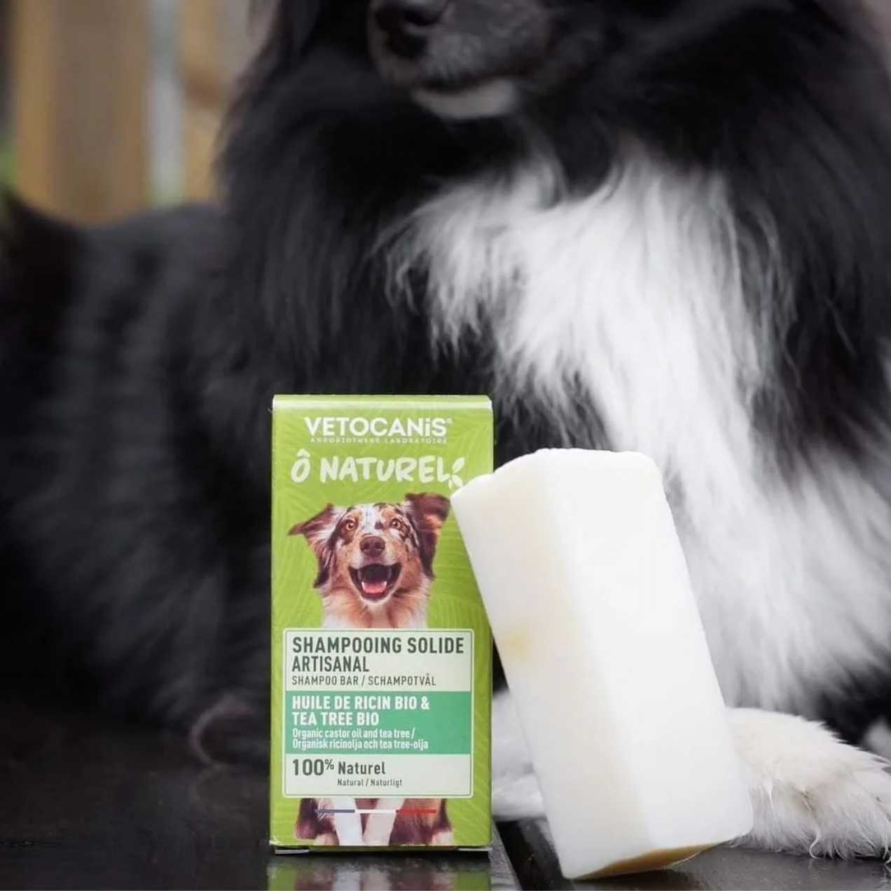 Shampoing solide vetocanis