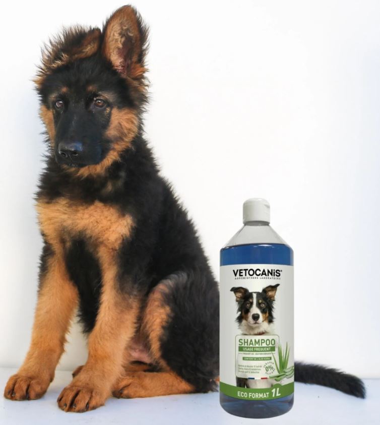 Shampoing Format Eco Usage Fréquent pour Chien 1L Vetocanis