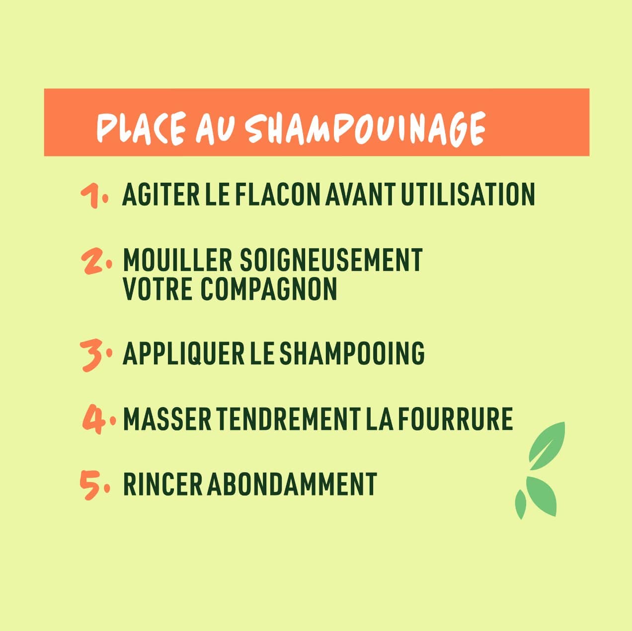 conseil shampouinage chien shampoing DYI chien usage fréquent Vetocanis
